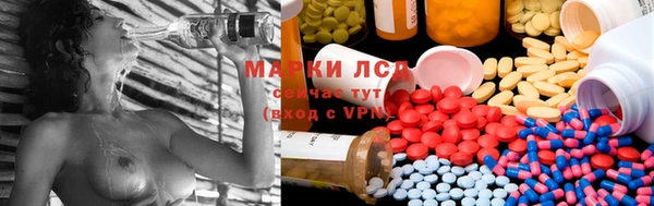 ECSTASY Баксан
