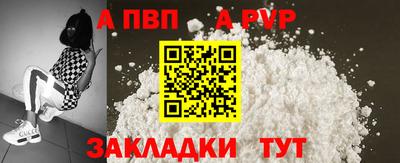 крисы Шелехов