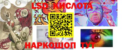 крисы Шелехов