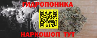 крисы Шелехов