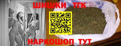 крисы Шелехов