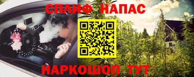крисы Шелехов