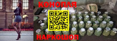 крисы Шелехов