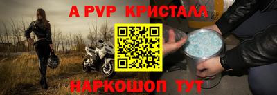 крисы Шелехов