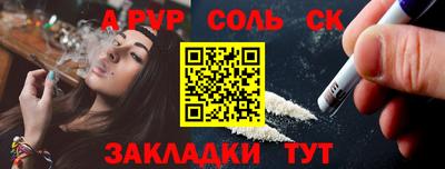 крисы Шелехов