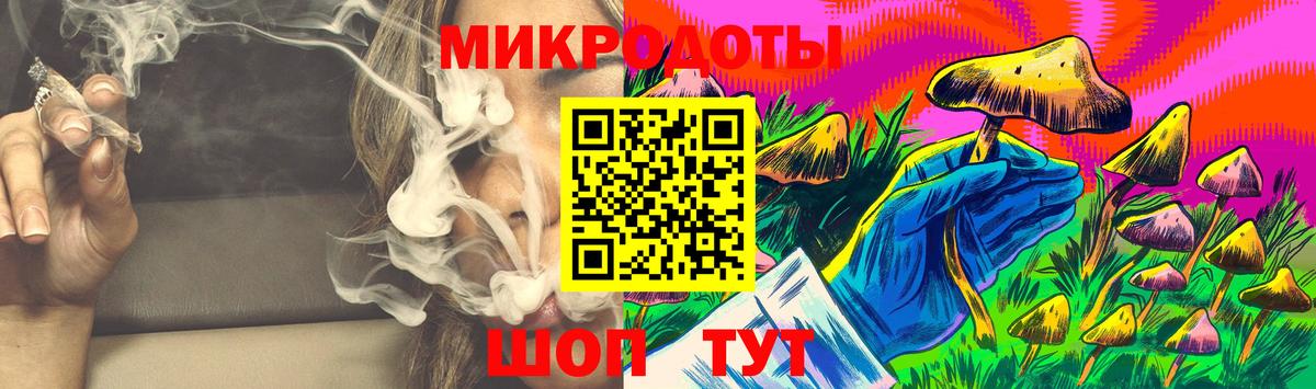 Бор  Псилоцибиновые грибы MAGIC MUSHROOMS  Вход с VPN 