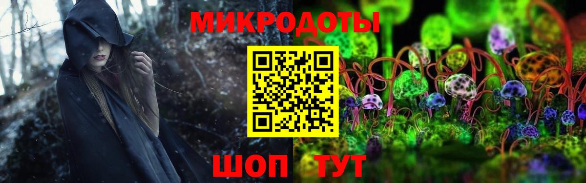 ГАШ Бор